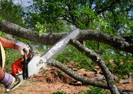 How Our Tree Care Process Works  in Bradner, OH